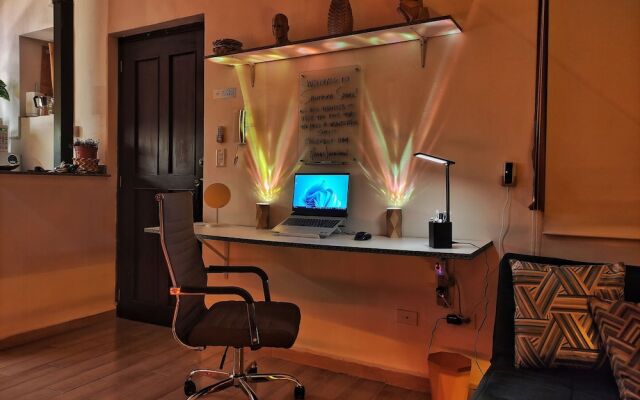 Citrus Studio By Paradox