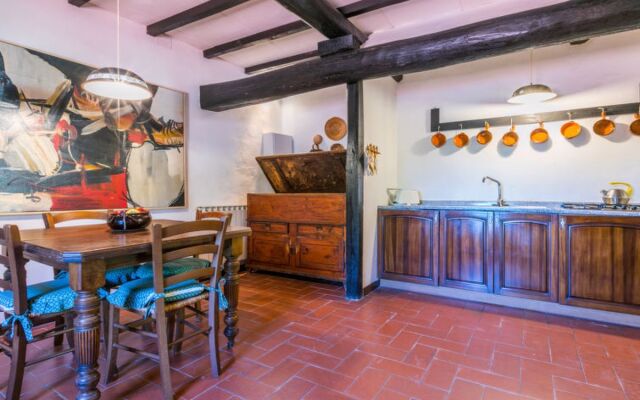 Bardeggiano - Caterina 5 (COL241)