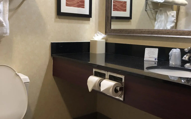 Comfort Inn Civic Center
