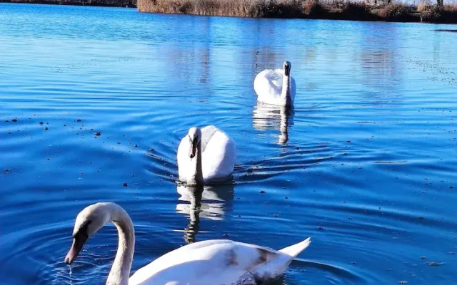 Romantic Lakeside Retreat - Nature, Sport, Near Bp