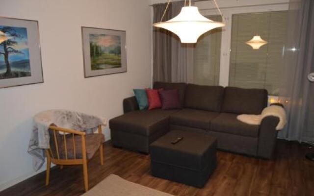 Apartment Skylights