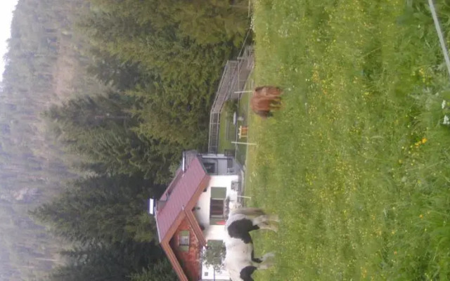 Ferienhaus Wimmer