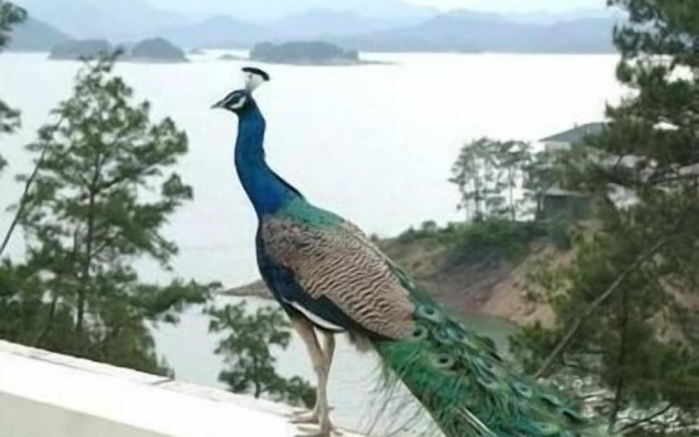 New Century Resort Qiandao Lake Hangzhou