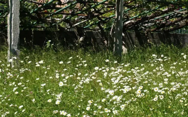 B&B Il Mulino