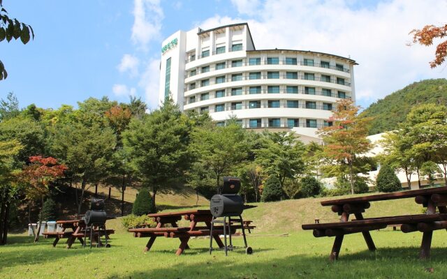 Cheongpung Resort Hill House