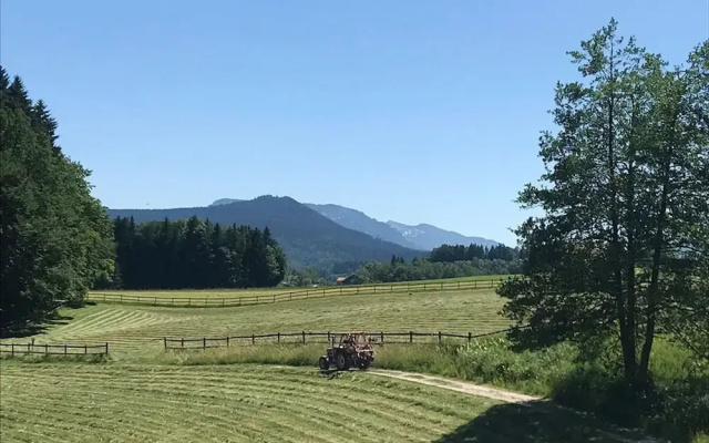 Bergwiesen - Studio House