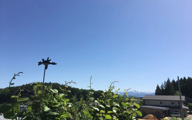 Pension Cocotte