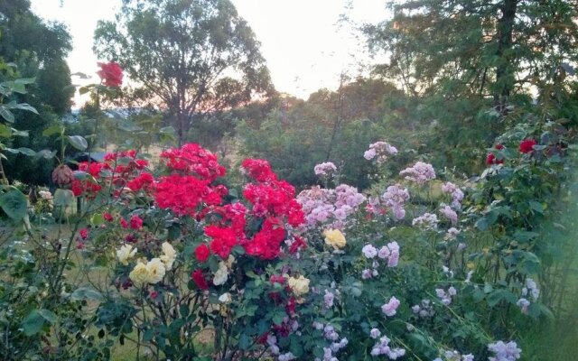 Russellee Bed and Breakfast