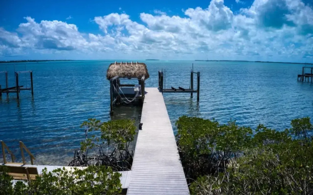 Lime Key in Key Largo