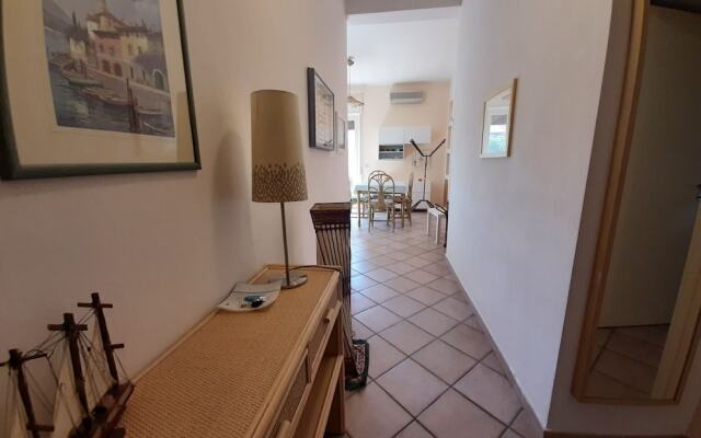 Naxos Holiday