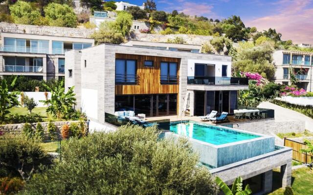 Vhillas Private Luxury Villa Turkbuku
