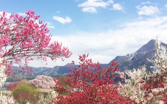 Oyado Taketori Monogatari