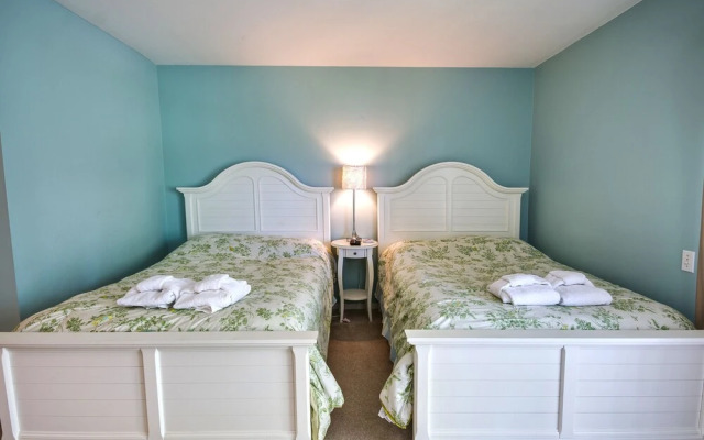 Water Oak 24 By Vtrips