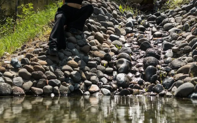 Organic House & Aquapark