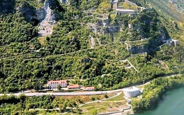 B&B Tulipano