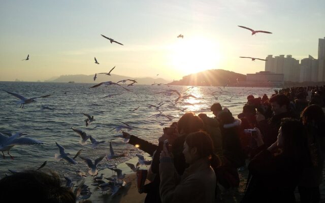 Haeundae With Guesthouse