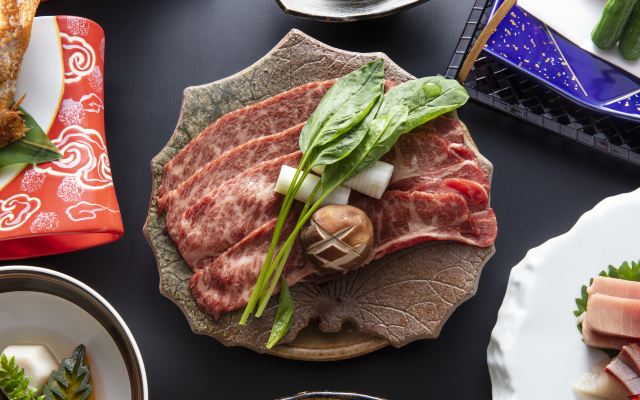 Iwamuro Onsen Menmentei Wataya