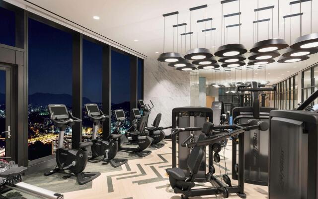 Novotel Ambassador Seoul Yongsan - Seoul Dragon City