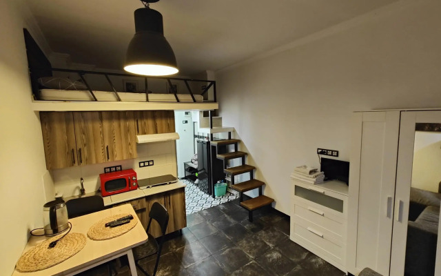 ZenApart на улице Гостиничная 10/5