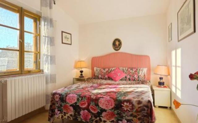 Conte Francesco I 231S