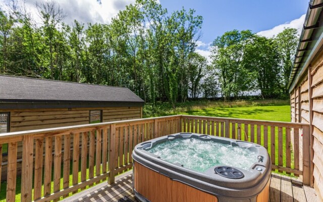 Squirrel Lodge 41 with Hot Tub, Newton Stewart