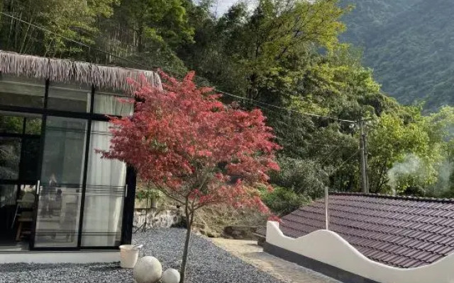 Anji Baofu Shiyou Homestay