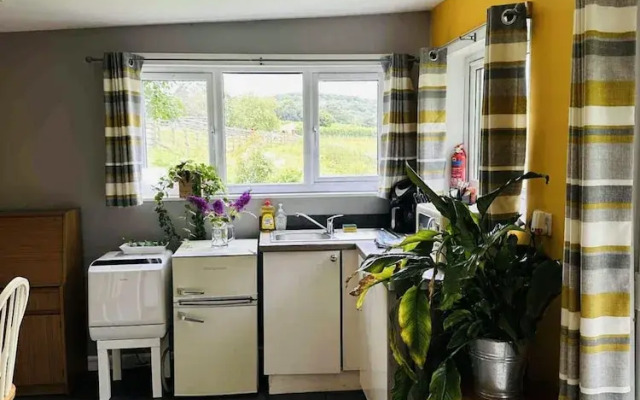 Lydvale Lodge in Lifton