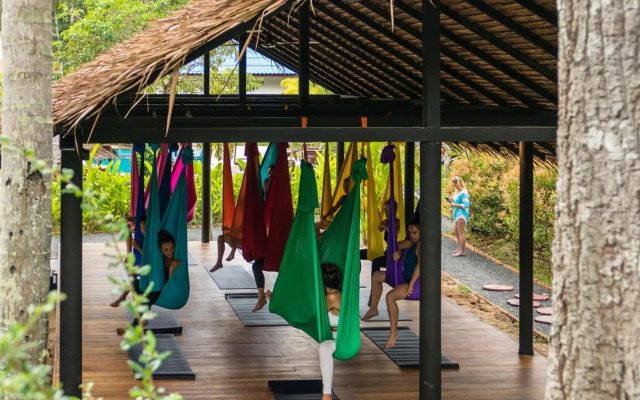 Wonderland Healing Center