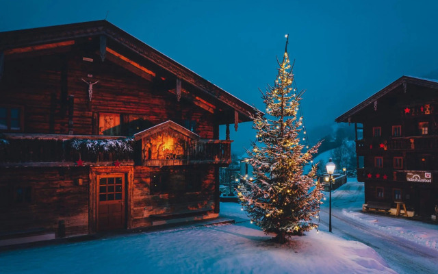 Mountain View 1-Bedroom Apartment-Top 1