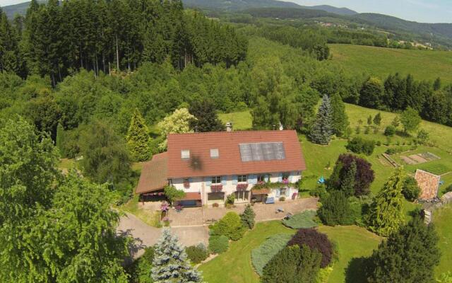 Gîte Provenchères-sur-Fave, 3 pièces, 4 personnes - FR-1-589-224