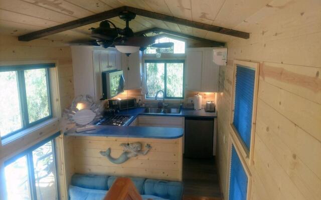 Coral Tree House