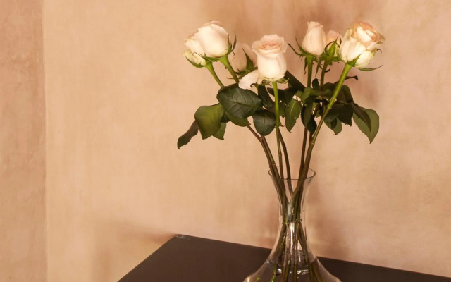 Rosas & Xocolate, Mérida, a Member of Design Hotels