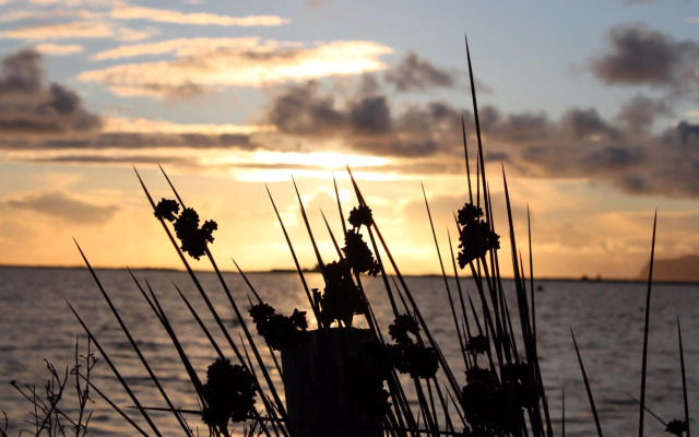 Appartamento Canottieri