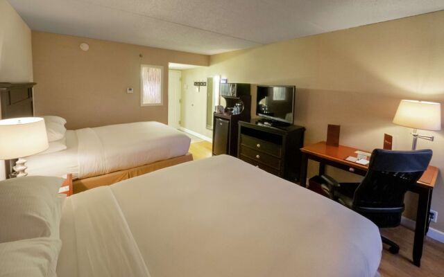 Indigo Buffalo - Amherst