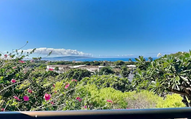 Wailea Ekolu 106