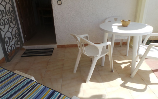 Palmera I