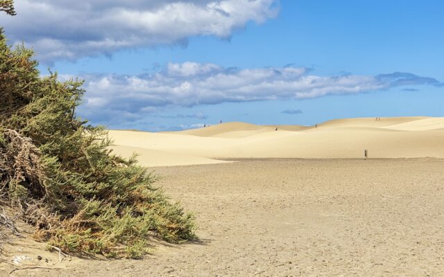 Smartr Maspalomas Corinto