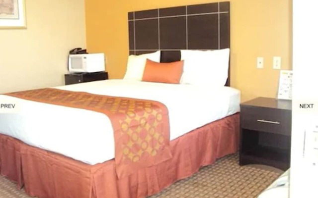 Executive Inn Crystal City