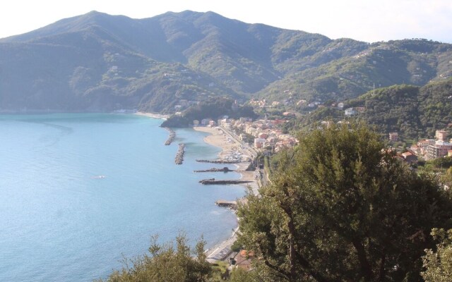 Lambrusca Moneglia in Moneglia