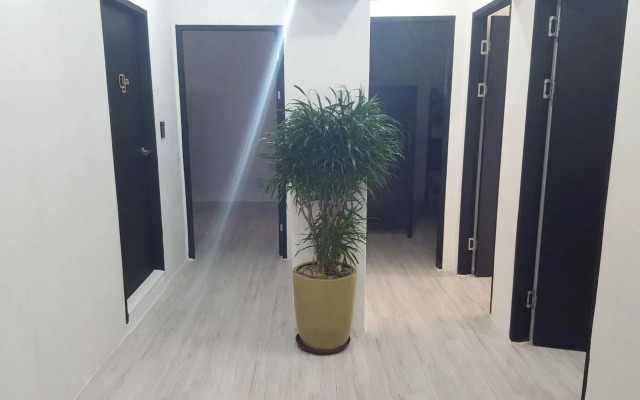 Amazon Guesthouse - Hostel