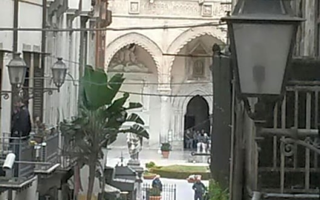 Novelli 36