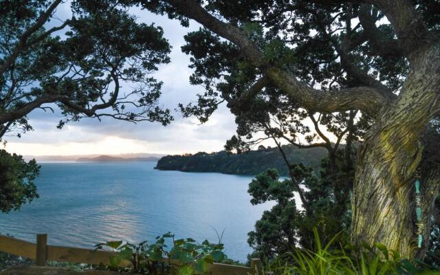 Auckland Clifftop