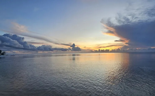 Moorea - Tropical Nest