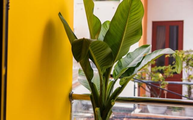 ComCC Hostel And Coffee