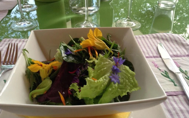 Veganer Gasthof zum Ederplan