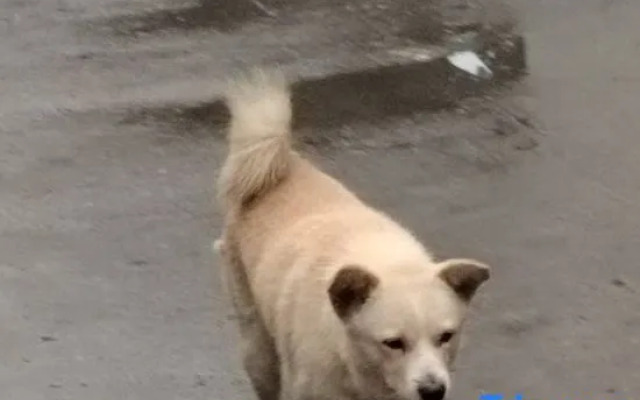 Yiqinju Homestay (Xishan Scenic Area Branch)