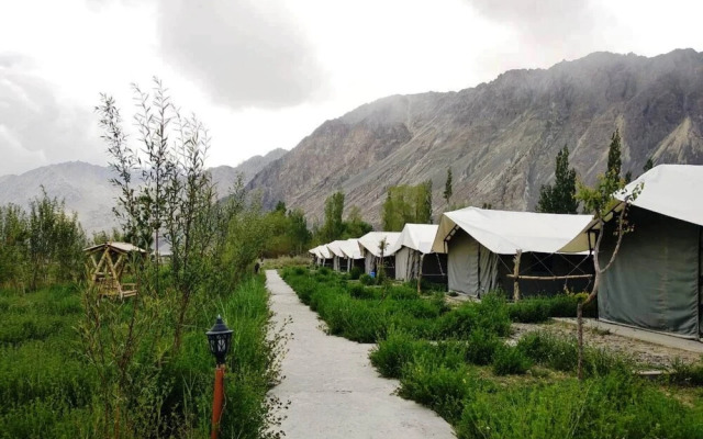 Cold Desert Camp