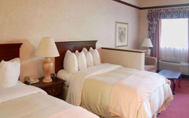 Comfort Suites Near Fairplex