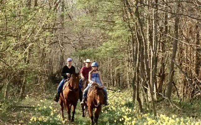 Sweetspire Ranch