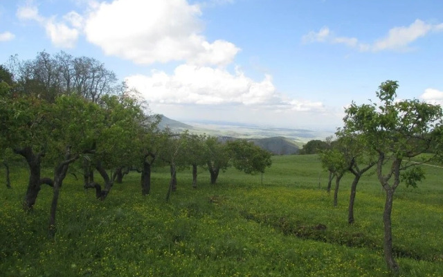 Masseria Salecchia